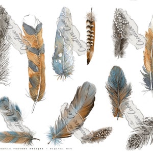 Può includere: Un set di clipart digitale di 12 piume ad acquerello in varie tonalità di marrone, grigio e blu. Le piume sono disposte in uno schema casuale su uno sfondo bianco.
