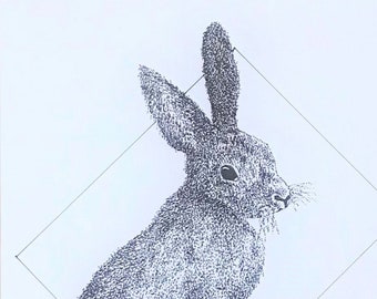 Hare