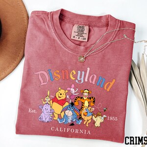 A pink t-shirt with a Disneyland graphic and text, along with a necklace and a hat, are displayed on a white surface.