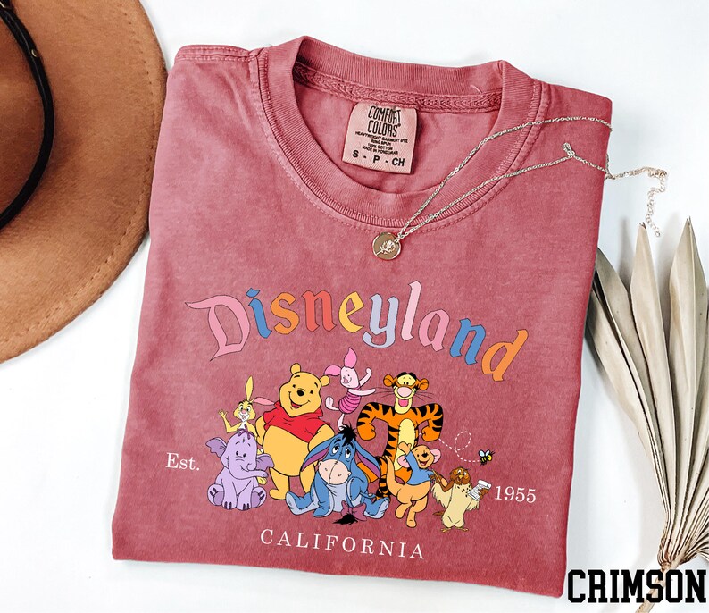 A pink t-shirt with a Disneyland graphic and text, along with a necklace and a hat, are displayed on a white surface.
