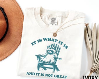 Comfort Colors® It Is What It Is And It Is Not Great Shirt, Funny Meme Shirt, Funny Raccoon Shirt, Retro Raccoon Shirt, Funny Mood Shirt