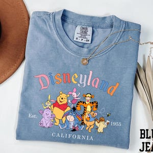 A blue t-shirt with a Disneyland graphic and text, along with a brown hat and some leaves, is displayed on a white surface.