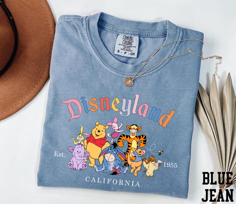 A blue t-shirt with a Disneyland graphic and text, along with a brown hat and some leaves, is displayed on a white surface.