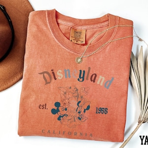 a disneyland shirt and a hat on a table
