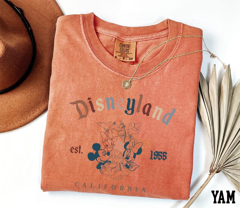 a disneyland shirt and a hat on a table