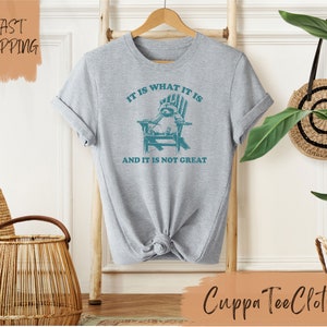 May include: Gray t-shirt with a raccoon sitting in a chair and the text "IT IS WHAT IT IS AND IT IS NOT GREAT".