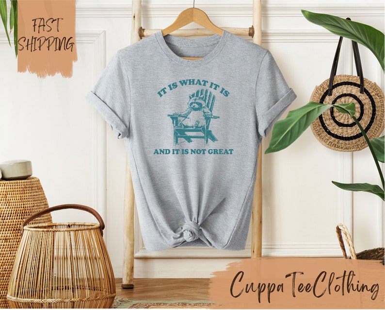 May include: Gray t-shirt with a raccoon sitting in a chair and the text "IT IS WHAT IT IS AND IT IS NOT GREAT".