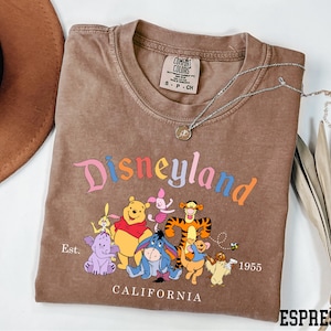 A t-shirt with a Disneyland graphic and text, along with a hat and some leaves, is displayed on a white surface.
