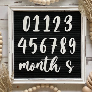 Baby Milestone Letter Board Icons | Monthly Milestones | Baby Letter ...