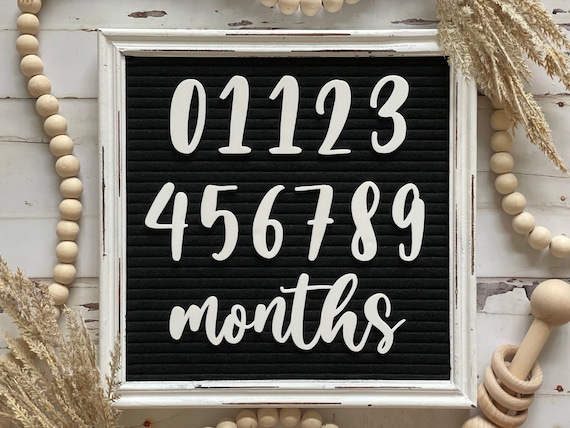 Baby Milestone Letter Board Icons | Monthly Milestones | Baby Letter Board | Newborn Milestone Markers | New Baby Gift| Monthly Bump Photos