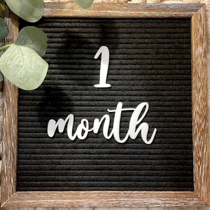 Baby Milestone Letter Board Icons | Monthly Milestones | Baby Letter ...
