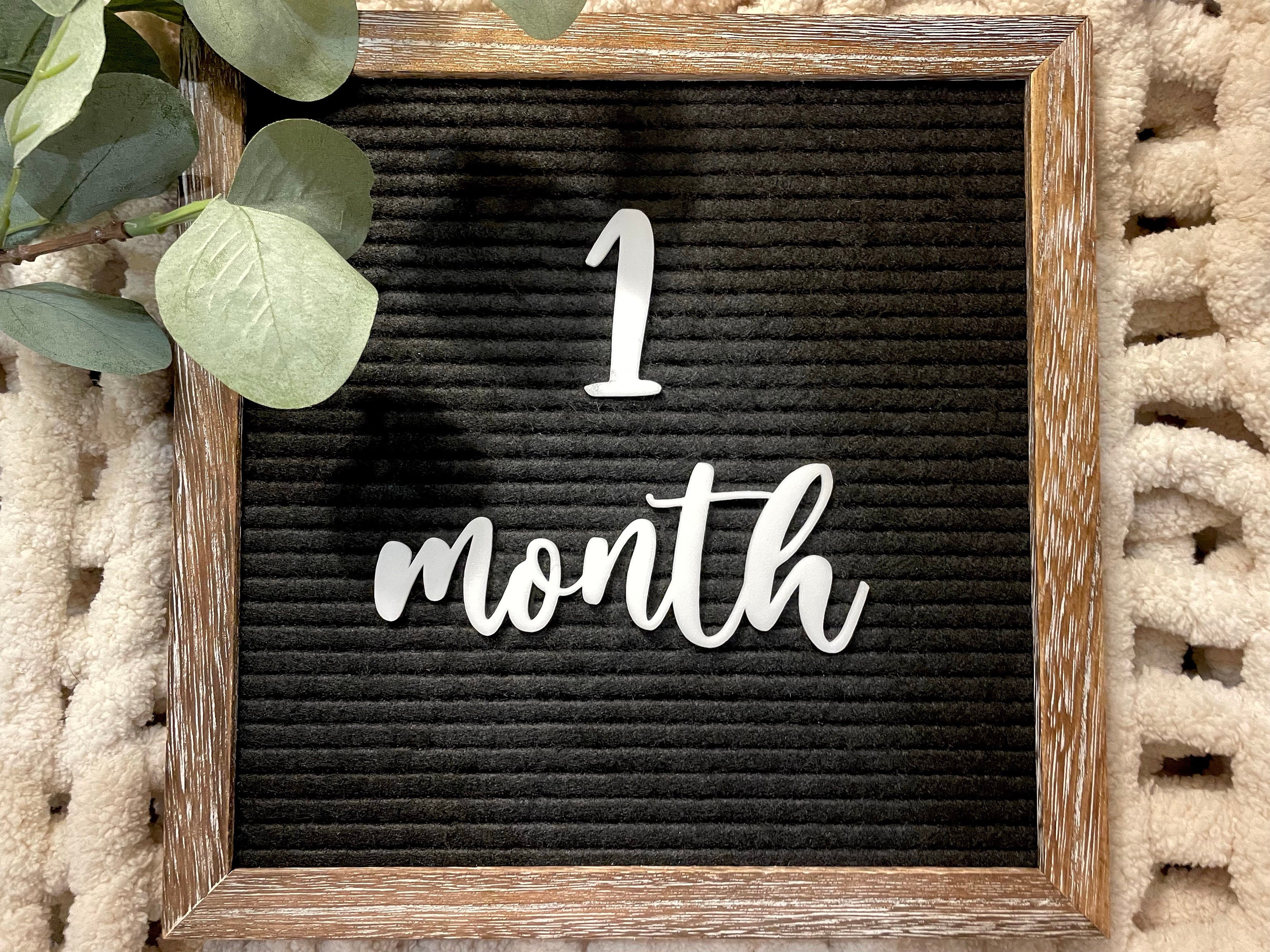 Baby Milestone Letter Board Icons | Monthly Milestones | Baby Letter ...