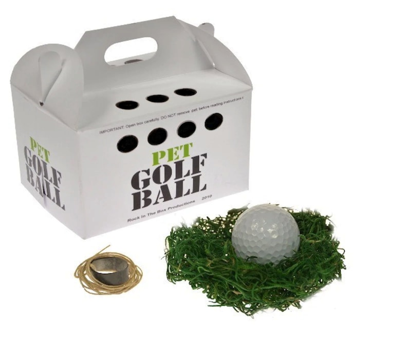 The Pet Golf Ball With a Walking Leash Funny Golf Party Gag Etsy