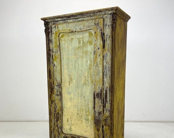 19th Century European Food Cabinet with Original Patina / Antique Wooden Cabinet