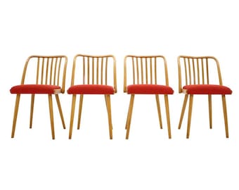 Set of Four Dining Chairs by Antonín Šuman, 1960s