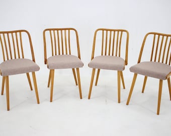 1970s Antonin Suman Set of 4 Oak Dining Chairs, Czechoslovakia