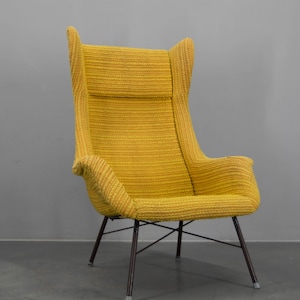 Fiberglass Armchair by Miroslav Navratil, Czechoslovakia, 1960s