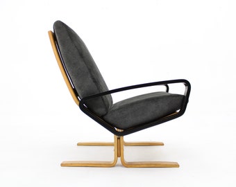 1970s Ludvik Volak Armchair by Drevopodnik Holesov, Czechoslovakia