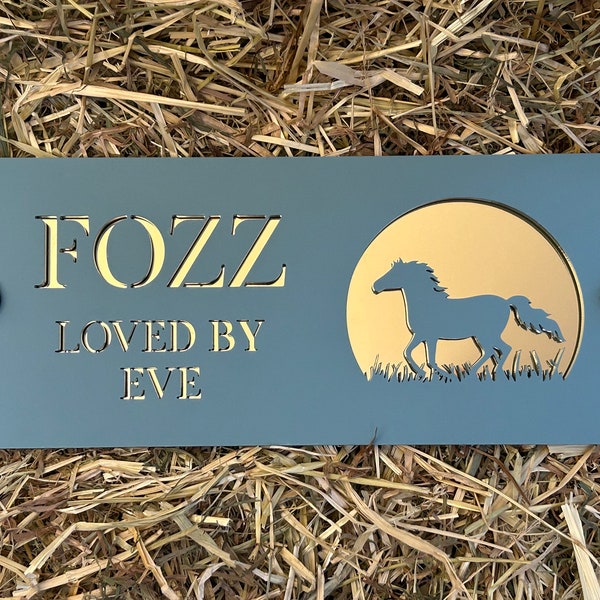 Stable Door Horse/Pony Sign, Equestrian Horse Plaque Sign, Acrylic, Horse Name, Pony Name, Name Plate,  Tack Room, Style 1