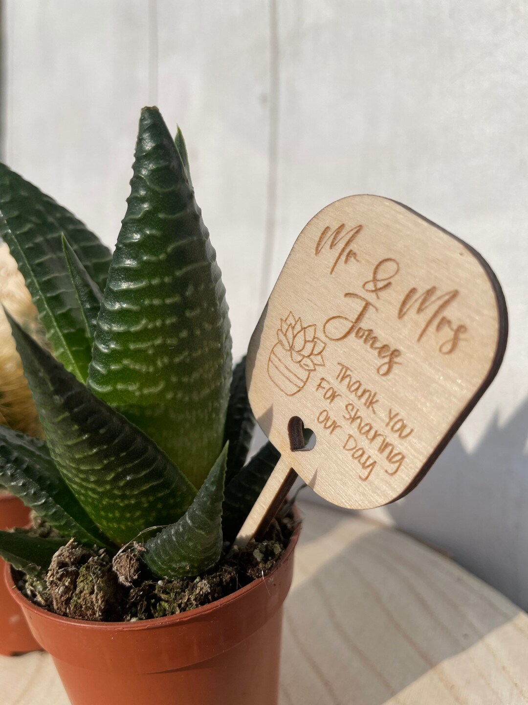 Personalised Wooden Plant Tags: Wedding Favors, Succulent & Cactus - Etsy