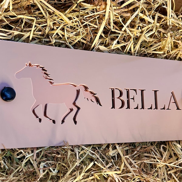 Stable Door Horse/Pony Sign, Equestrian Horse Plaque Sign, Acrylic, Horse Name, Pony Name, Name Plate,  Tack Room, Style 2