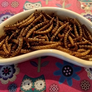 Mealworms