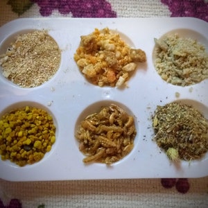 Crabby Food Tray