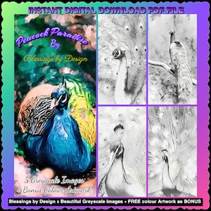 Peacock Colouring Pages | Blessings by Design