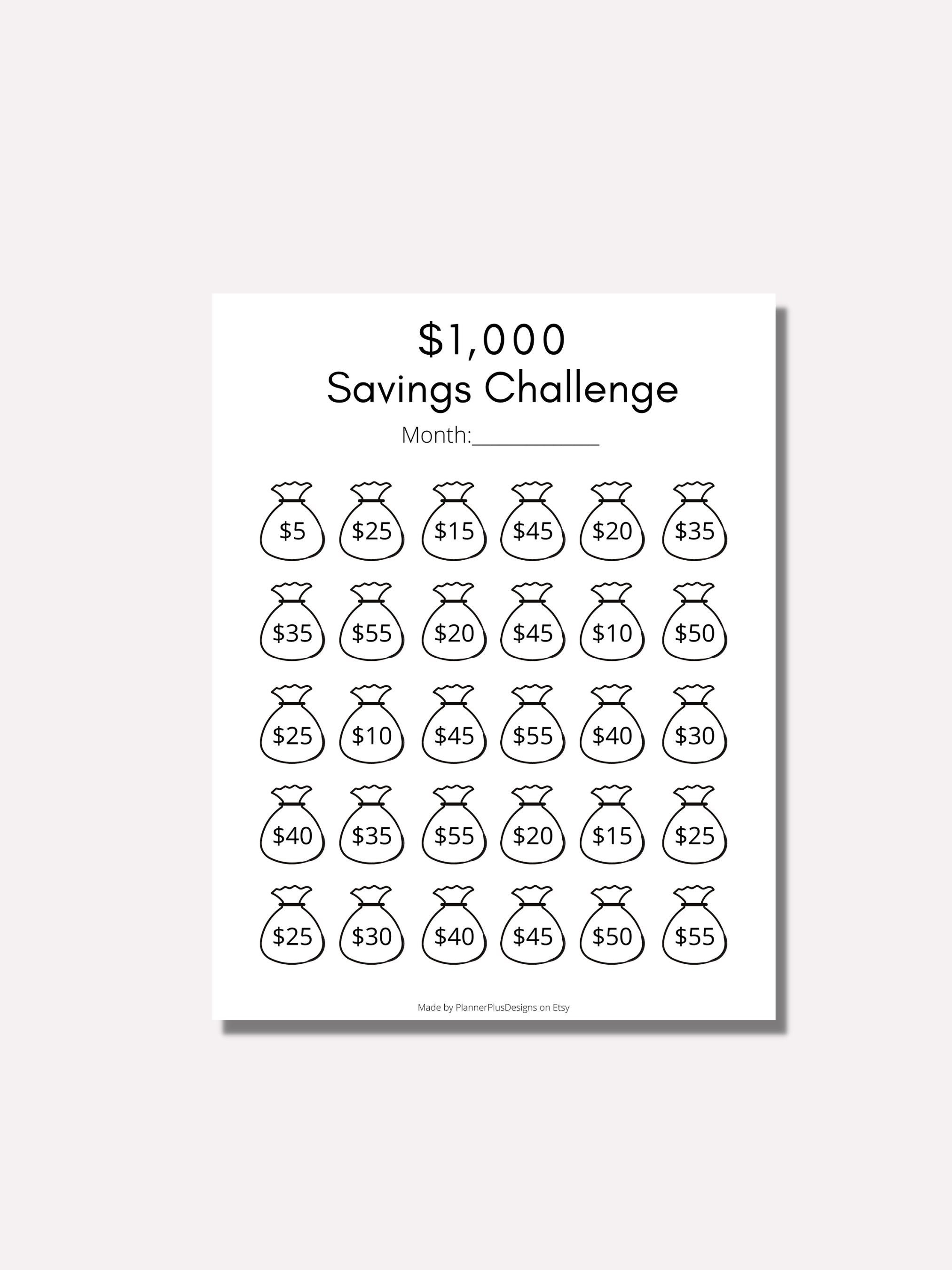 30000 Dollars in 100 Days, 30k Challenge, 100 Day Savings
