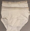 Vintage 90s Gold and Blue bands Fruit of the Loom briefs.