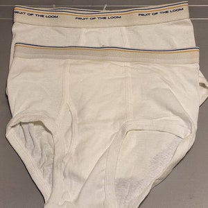 Vintage 90s Gold and Blue bands Fruit of the Loom briefs.