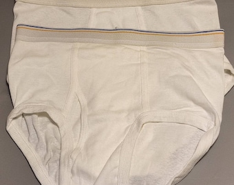 Vintage 90s Gold and Blue bands Fruit of the Loom briefs.