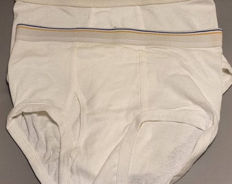 Fruit of the Loom Classic Briefs