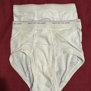 90s Hanes Briefs - Etsy