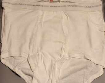 Vintage Alter-ego Hanes Gray/white Briefs Mystery Pair 