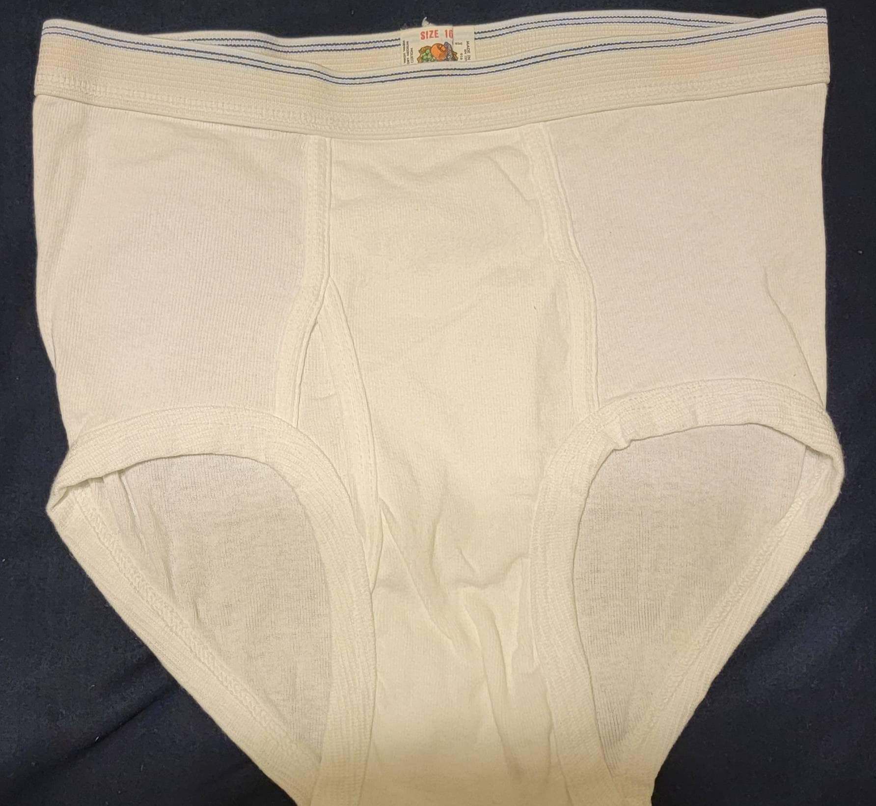 90's Vintage Fruit of the Loom Briefs SIZE 14,16 