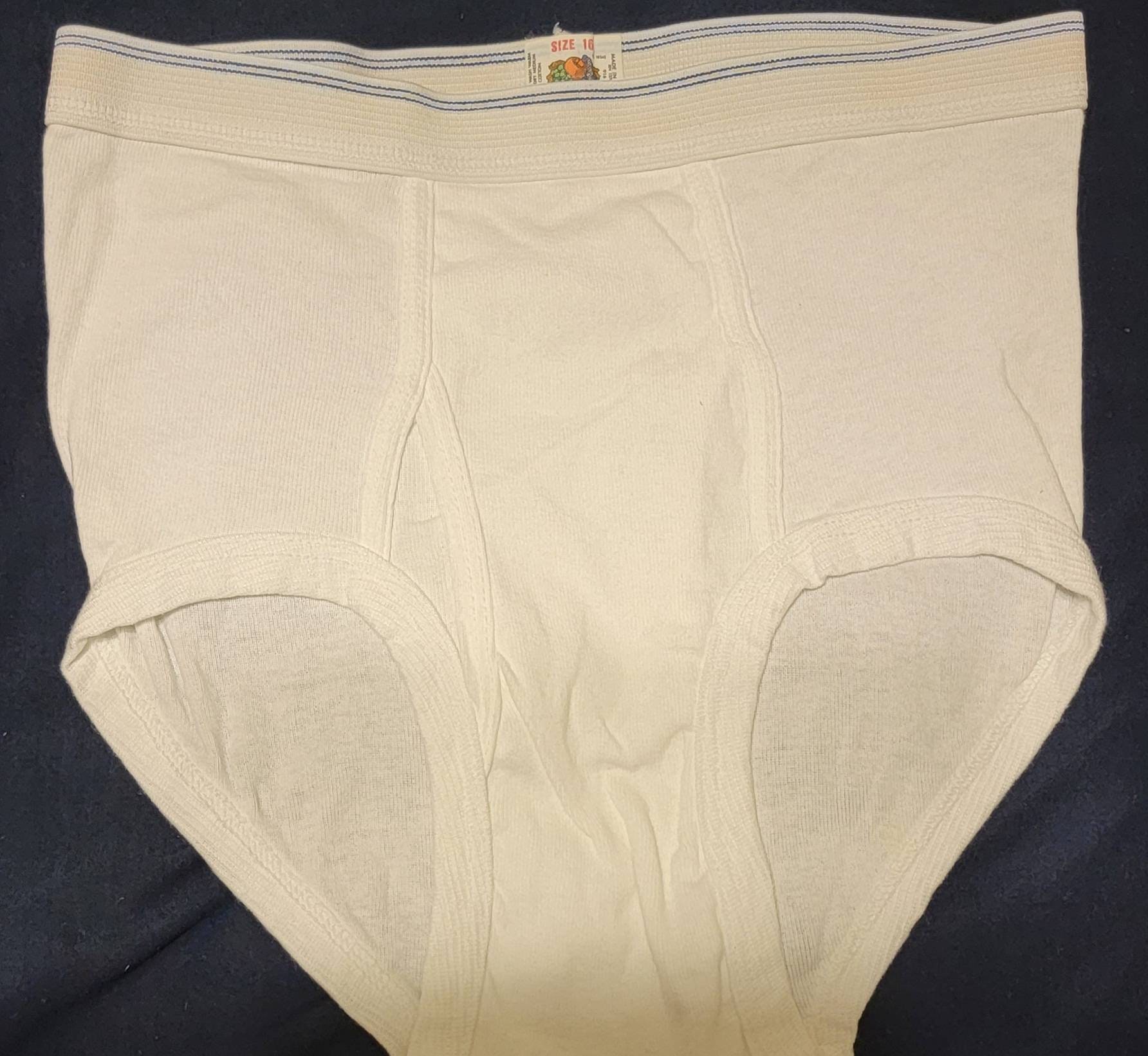 2 Vintage Fruit Of The Loom 2 Blue stripes White Briefs Size XL Extra Large.