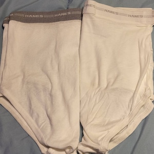 Vintage Alter-Ego Hanes Gray/White Briefs + Mystery Pair