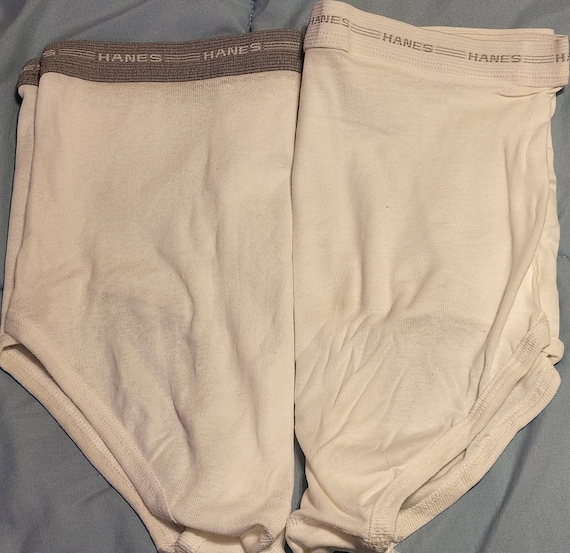 Vintage Alter-ego Hanes Gray/white Briefs Mystery Pair 