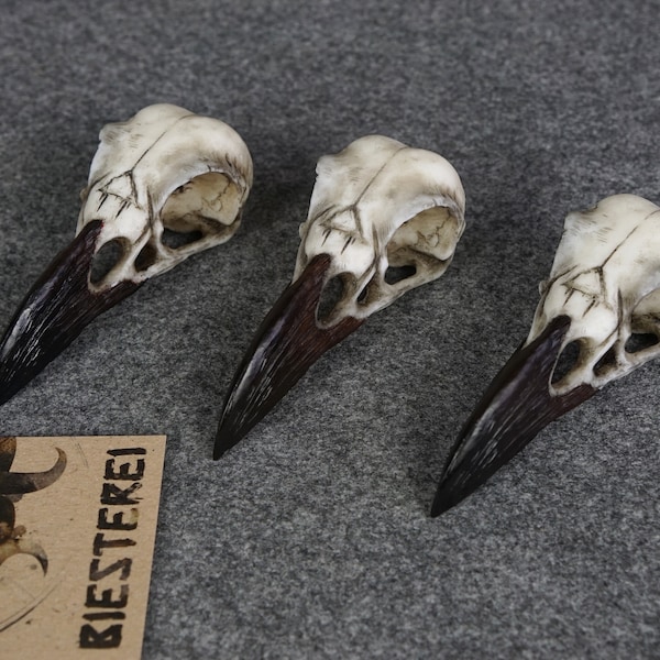 Raven skull Corvus corax reduced replica made of cast resin pendant various variants