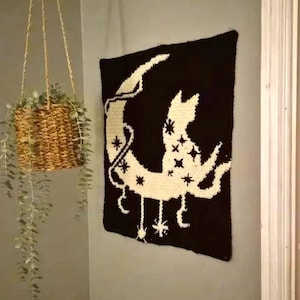 May include: A square black and white wall hanging featuring a crocheted design of a crescent moon and a cat silhouette adorned with star patterns. Beside it hangs a woven wicker basket containing a trailing green plant suspended by thin cords.