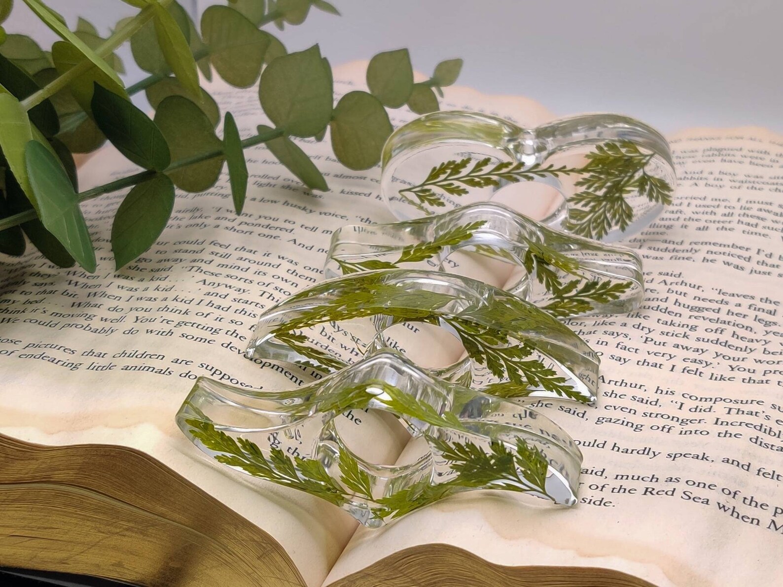 clear plant page holder