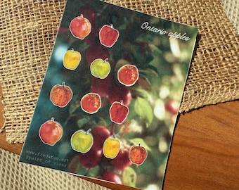 Ontario Apples Sticker Sheet, Hand-Painted Apple Stickers | Original Art Washi Stickers for Journals & Planners | Fall Autumn Fruit