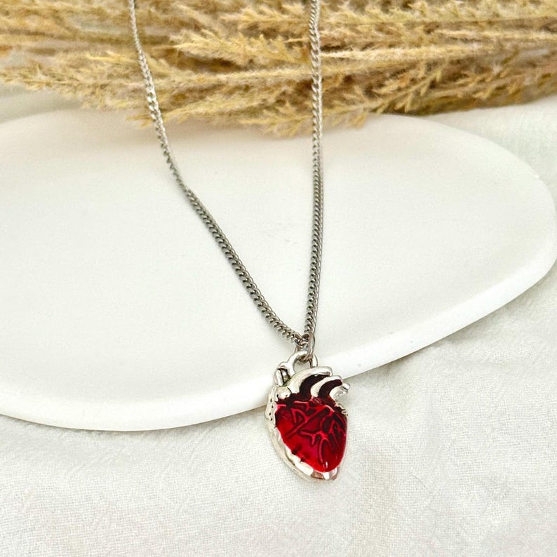 Anatomical Necklace Red Heart Charm Anatomy Jewelry Nurse Cardiologist Dainty Silver Jewelry Gift for Biology Teacher Heart Necklace Nursing image 2