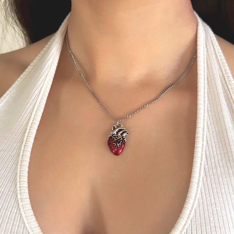May include: A silver chain necklace with a red anatomical heart pendant.