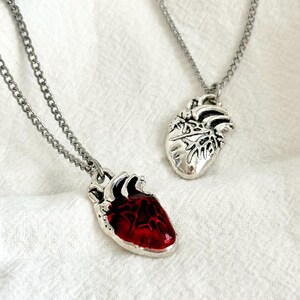 Anatomical Necklace Red Heart Charm Anatomy Jewelry Nurse Cardiologist Dainty Silver Jewelry Gift for Biology Teacher Heart Necklace Nursing image 8
