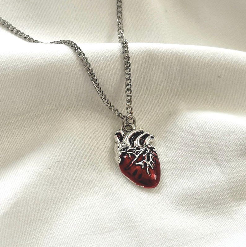 May include: A silver chain necklace with a red anatomical heart pendant.