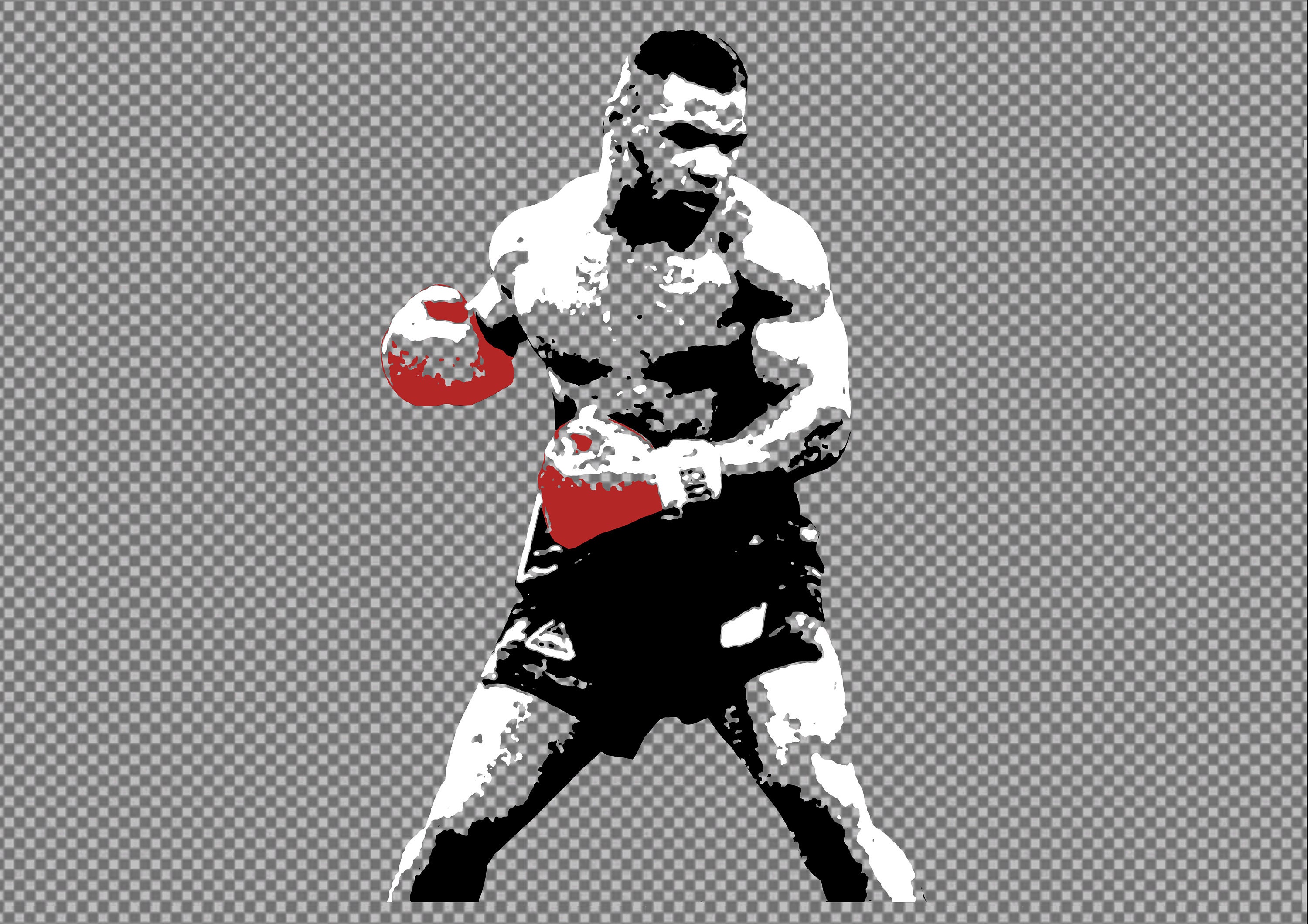 Mike Tyson Canvas 24x36 Print Picture Wall Fine Art Police Boxing Gym Ring  Champ