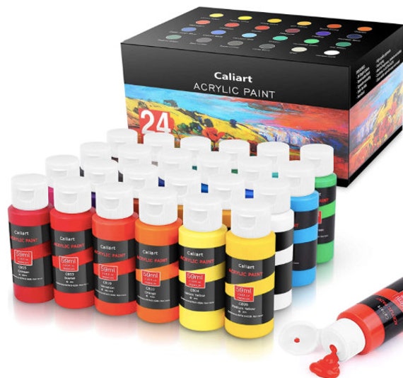Acrylic Paint Set, 24 Classic Colors 59ml, 2oz Art Craft Paints for  Professional Artists Kids Student Beginners Canvas Ceramic Wood Fabric 