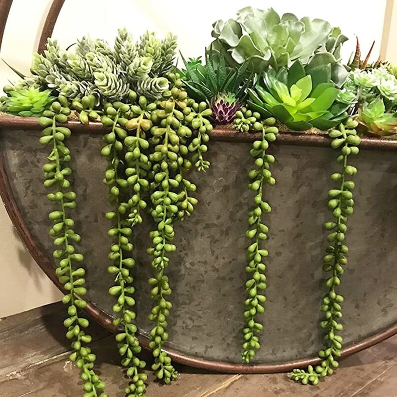 3pcs Artificial Fake String of Pearls Plant Faux Succulents Etsy